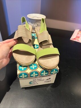 CHARLESTON SHOE CO. Espadrille Sandals in Lime and Linen